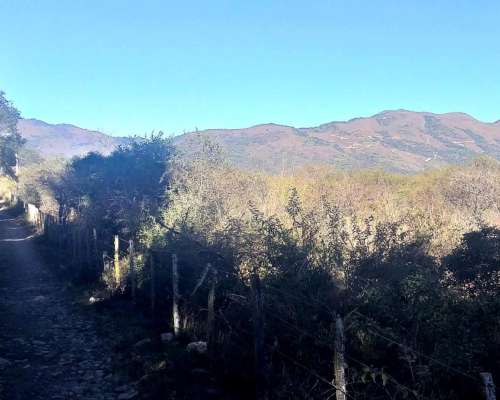 Venta 40 Has Multiproposito