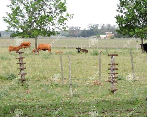 Campo en Venta 57 Has Punta Indio. Ganadero y Disfrute