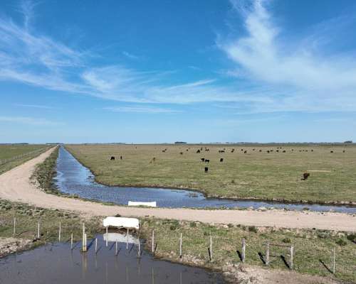 2700 Has. Campo Ganadero en Gualeguaychú