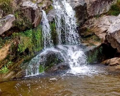 Venta Campo 100 Hectáreas con Arrollo y Escritura en Ambul