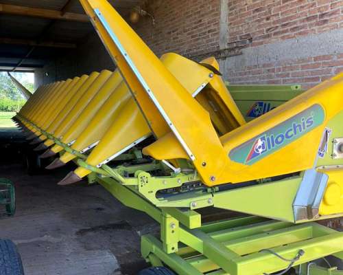 Cabezal Maicero Allochis 16l 52cm - 2021