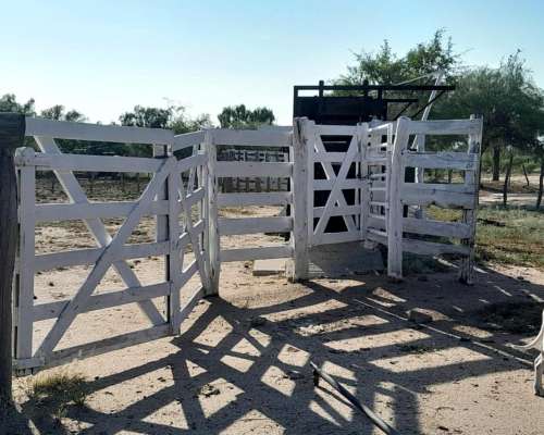 Ulapes 2.400 Has Sobre Asfalto