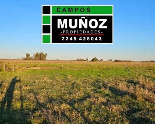 Castelli 63ha Mixto Ruta 41