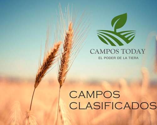 Excepcional Estancia Agrícola 3580 HA. Premium en Quimili