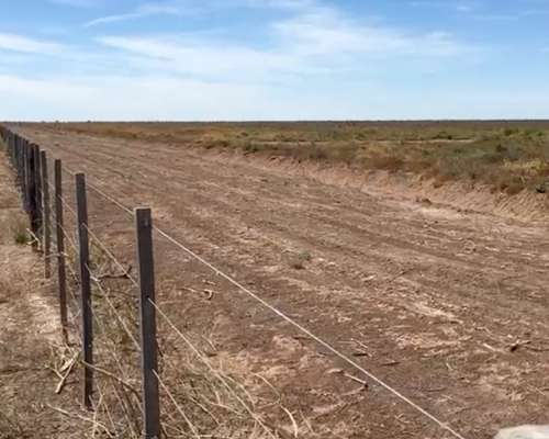 Campo 997 Has. Limpias - Inst. Feedlot - Alfalfa - Riego