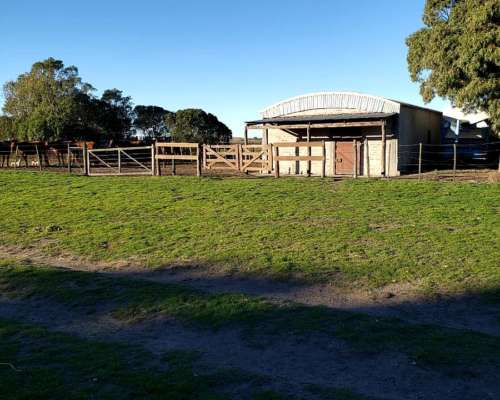 Campo en Venta en Partido de Carmen de Patagones