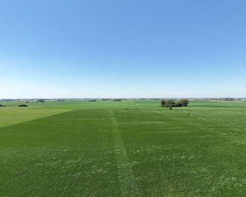 30 Ha Carabelas Agricolas
