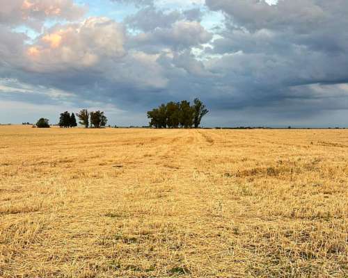 60 Hectáreas Agrícolas Sobre Ripio, Gualeguaychú.