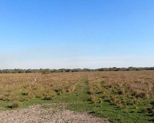 Selvas del Rio de ORO - 1432 Ha - Chaco