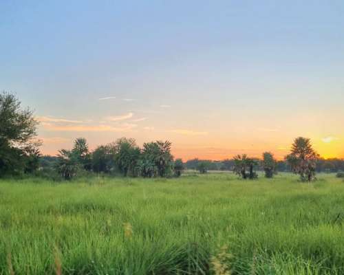 Campo Ganadero 2780 Has Gral San Martin a 23 KM.