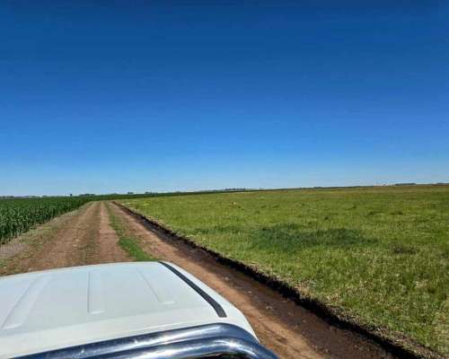 320 Has Mixtas Villegas Cañada Seca