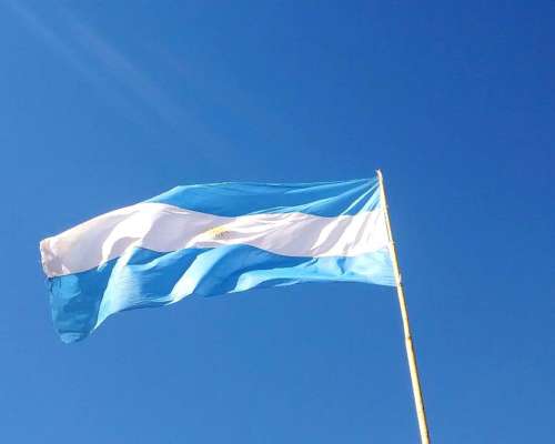 Bertini para Gran Productor. 100% Financiado