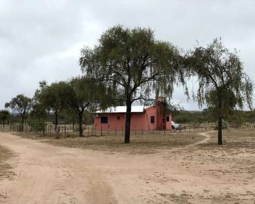 Campo Ganadero - Listo para Escriturar