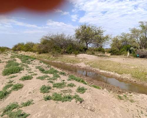 Vendo Campo Ganadero en la Pampa