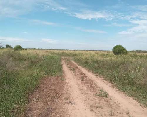 Formosa -2650 Has - Oportunidad-