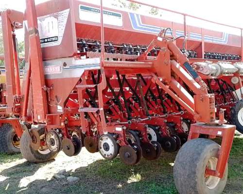 Semb.g.fino Achilli DI Battista de 25 a 26cm C/kit a 52 - Agroads