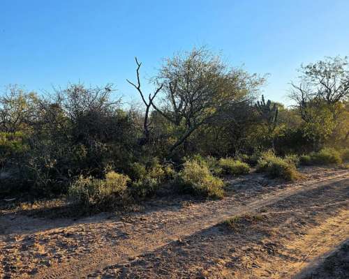 Vendo Campo en Lugones S/ Ruta 34 SGO del Estero 947 Has