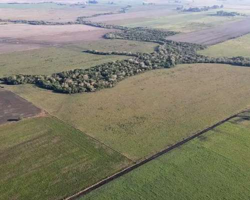 392 Ha en Venta Idiazabal