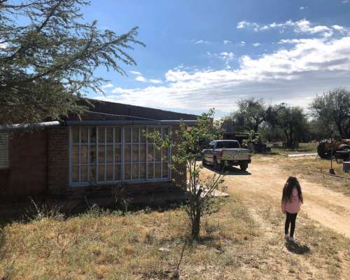 Campo Venta San Luis Ganadero