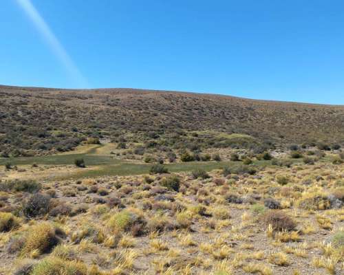 Estancia en Rio Mayo. 7345 HA. Chubut