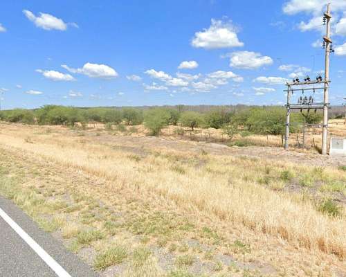 250 HA. Campo en Catamarca con Olivos