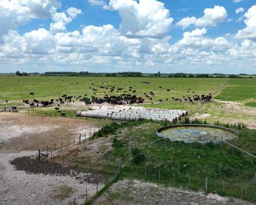 1380 Has. Campo Mixto S/ Ruta 7 en San Andres de Giles