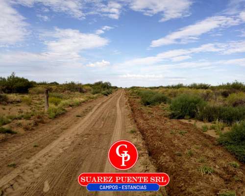En Venta 2.500 Has Chacharramendi la Pampa.-
