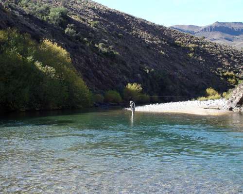 486 Ha Paraiso Patagonico en Alto Rio Chubut