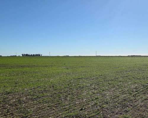 200 Ha Agricolas SC