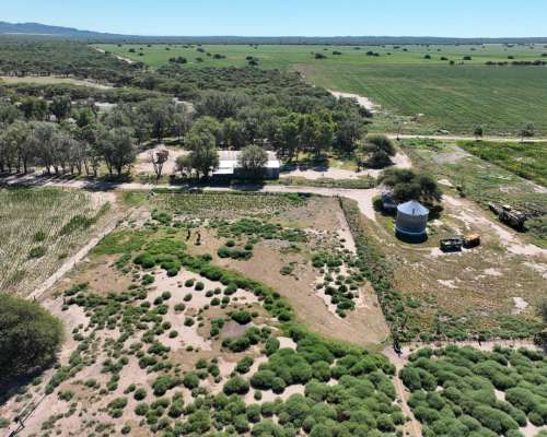 Pcia. de San Luis - Eleodoro Lobos 905 Has