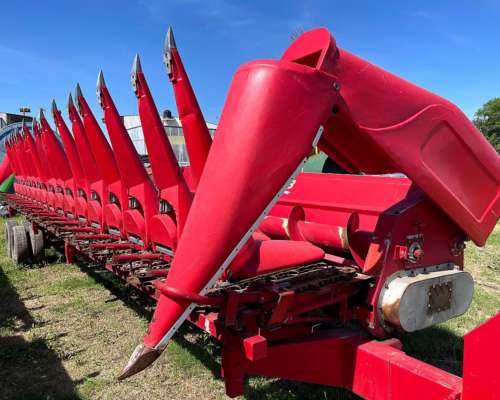 Maicero cm 2008 Ombu 18 a 52