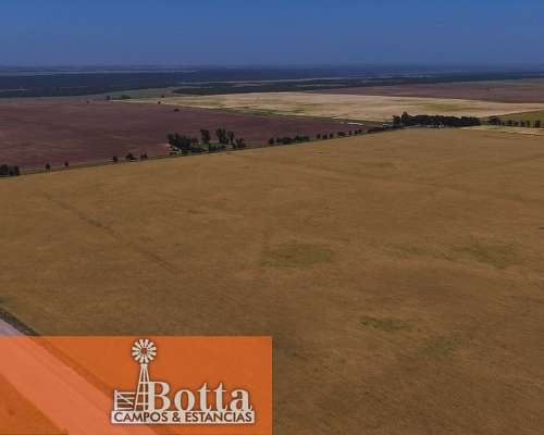 627has en Venta en Alpachiri, la Pampa. Campo Agricola