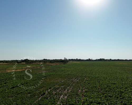 Venta Campo. 64 Hectáreas. Soledad, Santa FE.