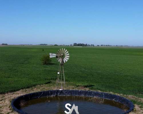 Vende: Campo Agrícola de 430 Hectáreas. Trenque Lauquen