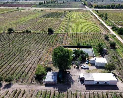 Finca Sobre Ruta N° 7. Pozo y D°. 16ha 4300m2.