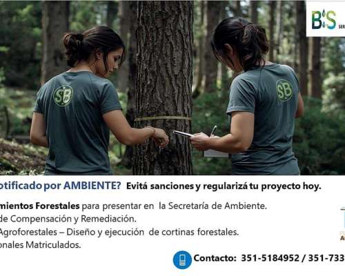 Relevamientos Arbóreos/ Planes Agroforestales