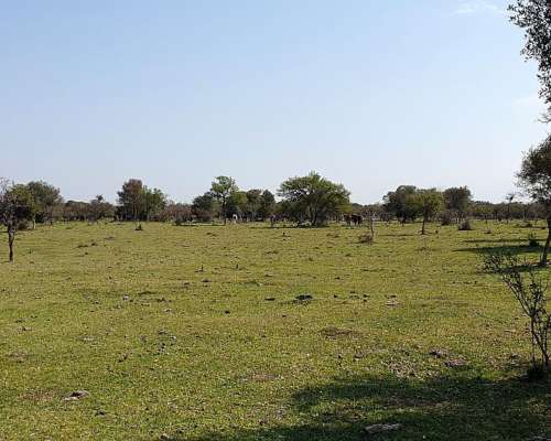 Campo Ganaderos en Villaguay - E. Ríos.