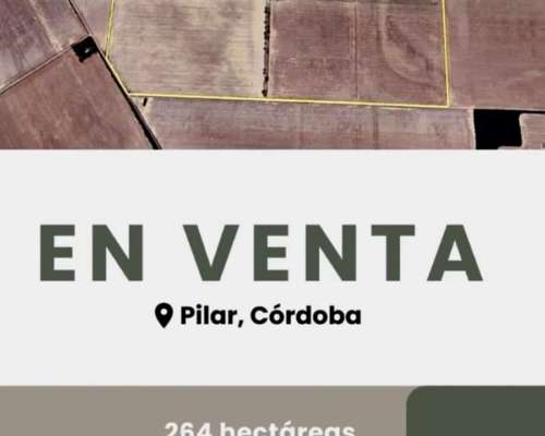 Dueño Vende – 263 Ha Campo Agrícola en Pilar, Córdoba
