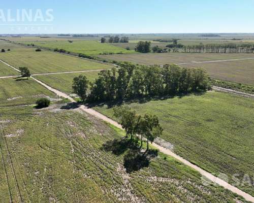 78 Has. Campo Agrícola en Villa Ruiz