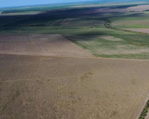 San Luis Naschel 190 Has Agricolas