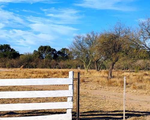 Campo en la Rioja Sobre Ruta 79 San Martín