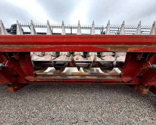 Maicero - Maizco de 12 a 52,5 cm - año 2012 (emb Vassalli)