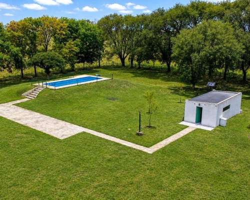 Martin Colman, Rauch, Buenos Aires - 550 Ha