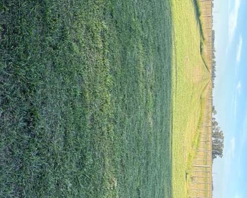 Campo de 104 , Mixto con Casa Ymejoras