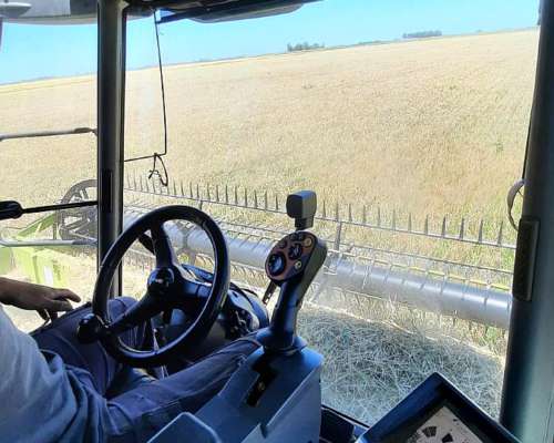 Claas Lexion 570 Draper de 35 Pies