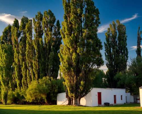 Venta Campo 7500 Has -zona Arroyo la Ventana - Rio Negro