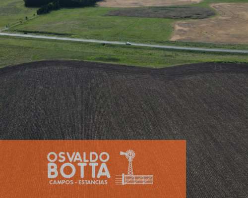 Campo Mixto en Venta 103 Has en Miramar, Buenos Aires