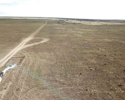 Vende Campo - 80 Ha - Fraga, San Luis