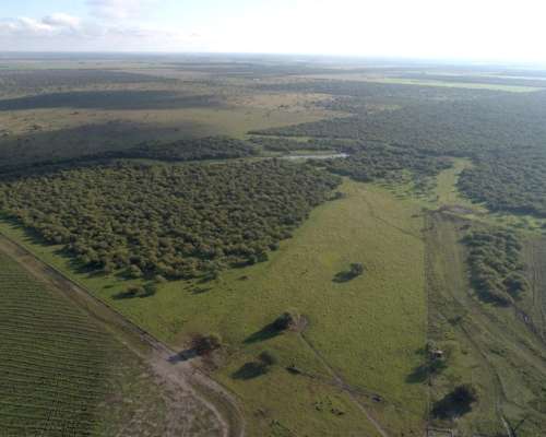 1.239 Has - en Venta - Federal - Entre Ríos