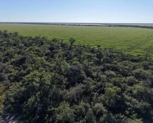 Las Tinajas, Moreno, Santiago del Estero - 2.123 Ha